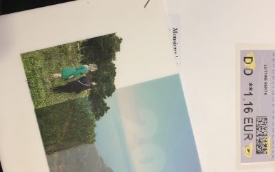 Cartes 2022 : à peine émises, déjà collector